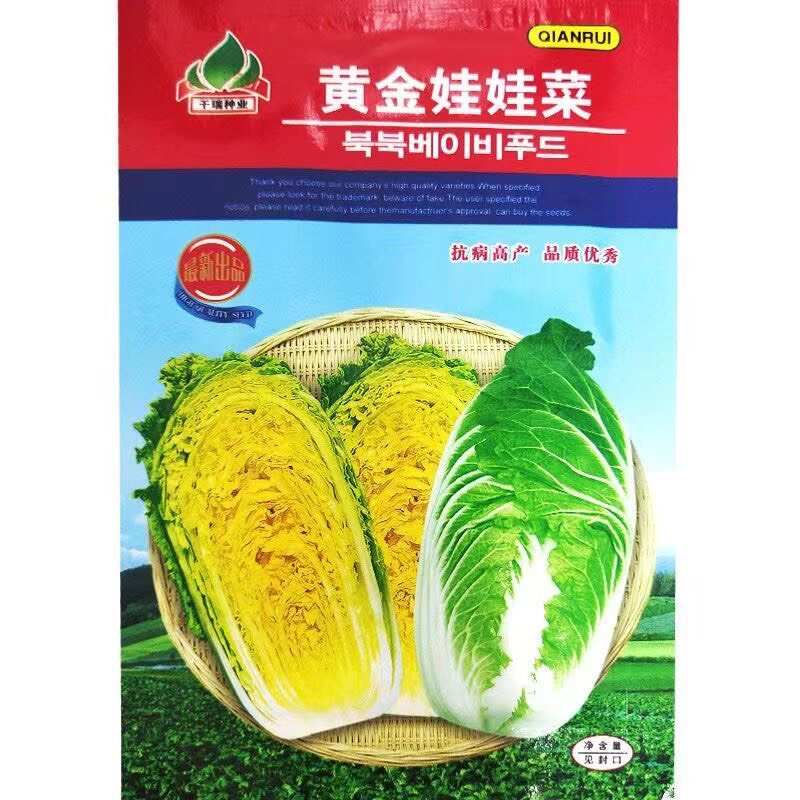 娃娃菜种子小白菜种籽好吃黄心娃娃菜种籽小型白菜四季秋冬季蔬菜