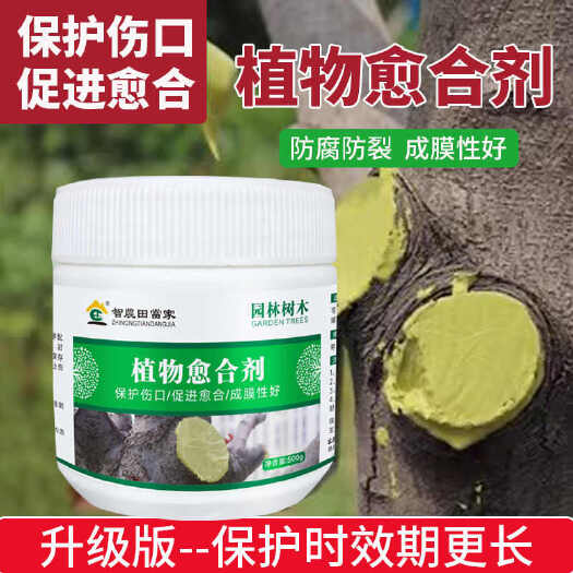 诸城市植物伤口愈合剂果树伤口树皮封口修复涂膜树枝嫁接树干大树涂抹剂