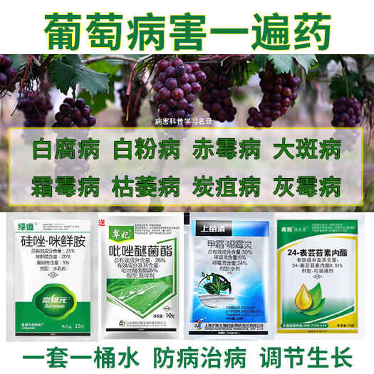 诸城市葡萄病害专用药全治组合装霜霉病灰霉白腐病防腐烂果套袋套餐农药