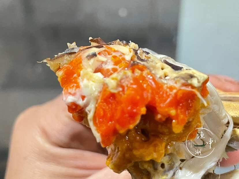 阳澄湖镇大闸蟹免费加盟一件代发，团购，企业采购一手货源