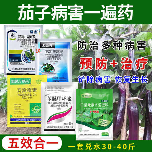 诸城市茄子专用药杀菌剂茄子灰霉病枯萎病青枯病猝倒病霜霉病软腐病农药
