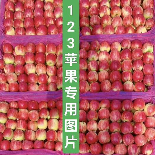 123苹果 光果 ，口感甜脆，辽宁省生铁岭西丰主产区