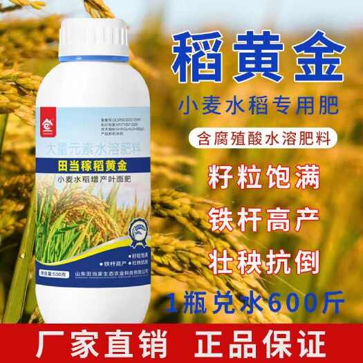 诸城市田当稼稻黄金水稻专用叶面肥抗倒伏分蘖返青孕穗灌浆肥增收肥