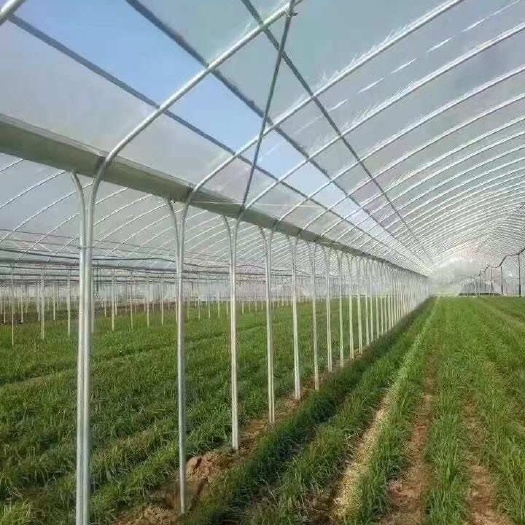 蔬菜种植大棚 西瓜棚 草莓大棚全国发货 上门安装