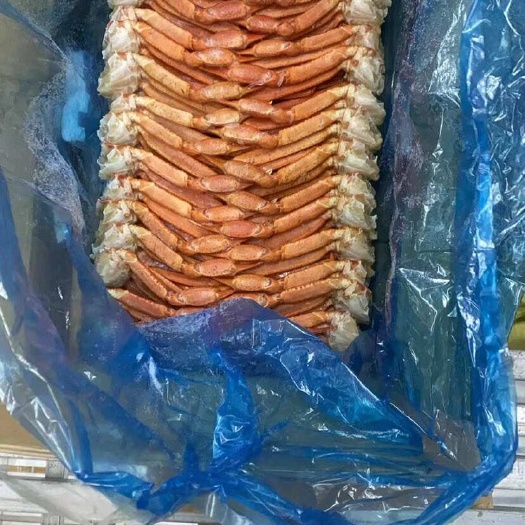 丹东朝鲜边贸红蟹腿，一手货源产地直发