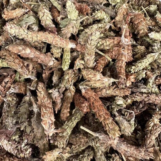 新货夏枯球干货