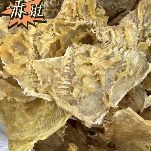 广州鱼胶直销赤肚金黄足干新货10-13头石斑肚滋补胶