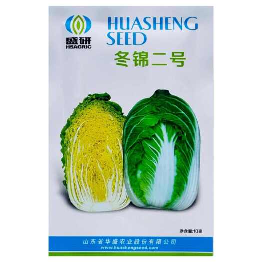 南京冬锦二号大白菜耐寒速生长大田基地种植黄心大白菜种籽抗病