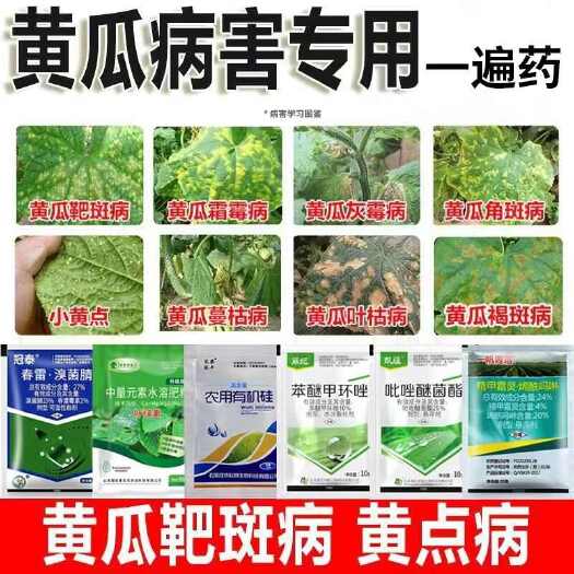 诸城市黄瓜专用套餐黄瓜病全治靶斑病黄点角斑病靶斑病枯萎病炭疽病组合