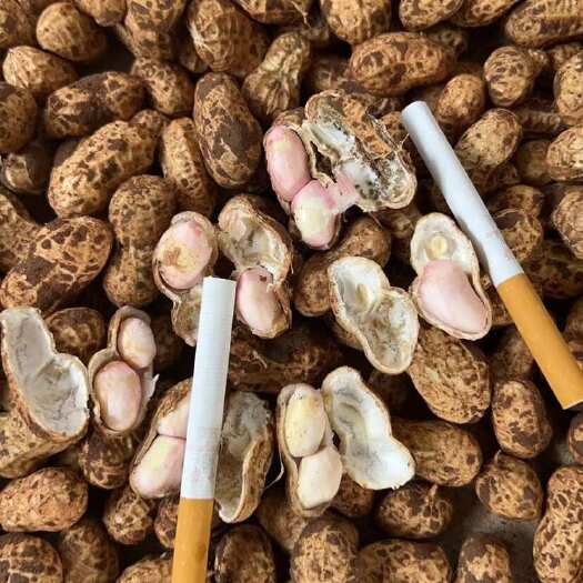 宜宾宜宾纯黄土小白沙