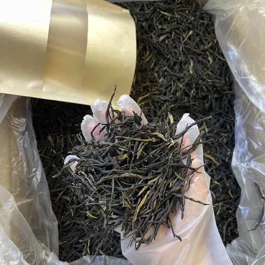 重庆市滇红松针