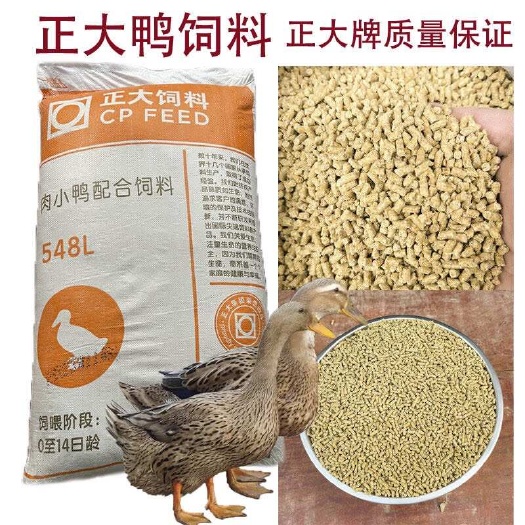 南宁正大小鸭粮饲料正大宠物鸭柯尔鸭子颗粒饲料开口料钓鱼打窝鸭饲料