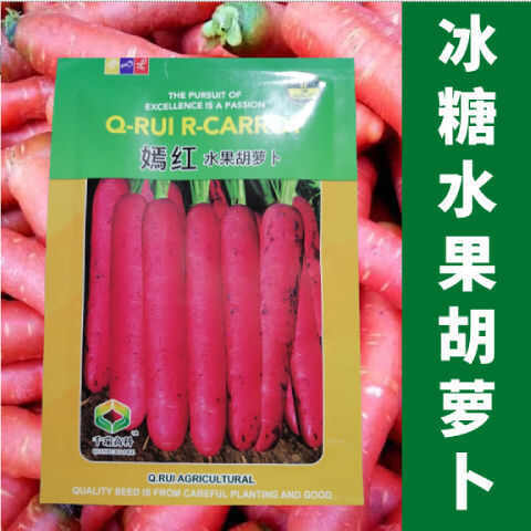 邵东市嫣红水果胡萝卜种子甜脆水果萝卜种子夏秋季好吃糖分高蔬菜种子