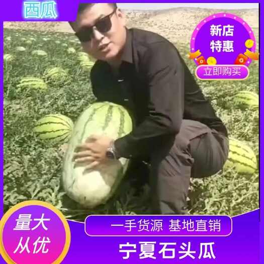 中卫宁夏石头瓜 产地直发主发品种金城 双红金5 康乐六号 金花等