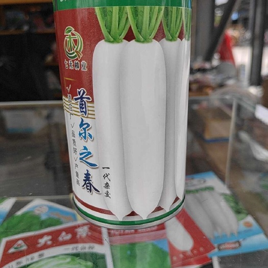 玉溪耐抽苔韩国萝卜种子(首尔之春)