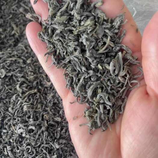普宁市绿茶高山炒青绿茶