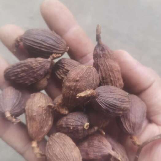 瑞丽市草果