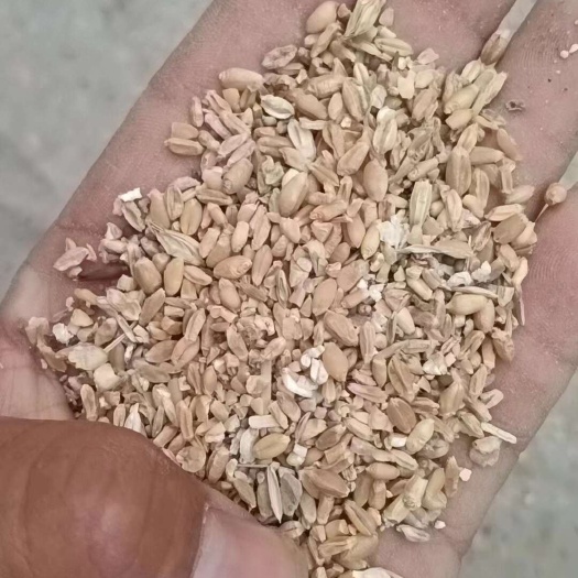 灵璧县碎小麦