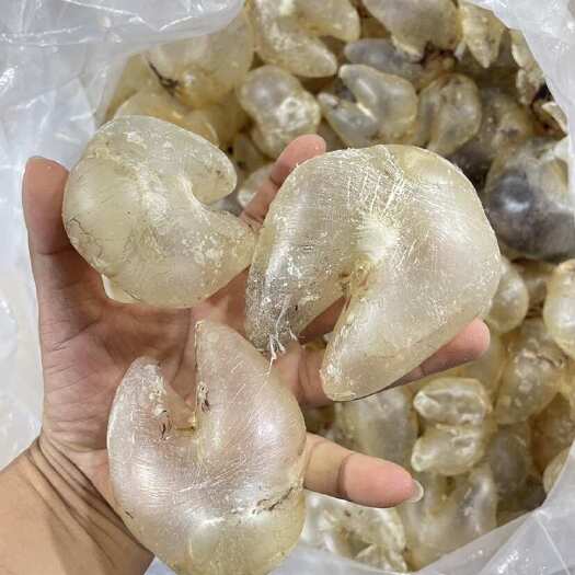 北海刺龟胶鸡跑胶 花胶鱼胶 30头一斤