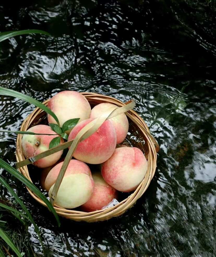 浙江宁波奉化水蜜桃水果新鲜现摘湖景玉露桃子礼盒装