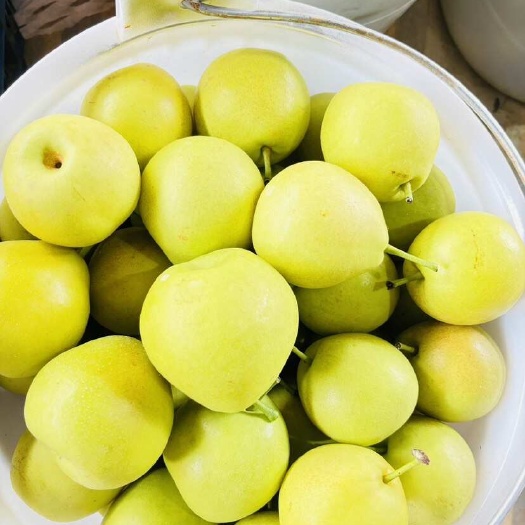 高原丁香梨，红梨