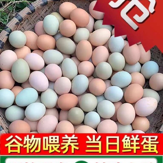 精品粉绿混搭土鸡蛋江汉土鸡蛋乌鸡蛋，品质优先现捡现发