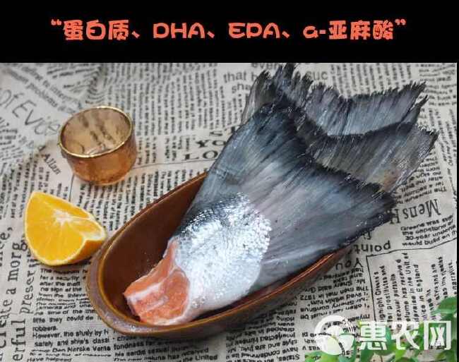 三文鱼尾巴非即食冷冻鲜活新鲜中段鱼骨鱼鳍鱼下巴