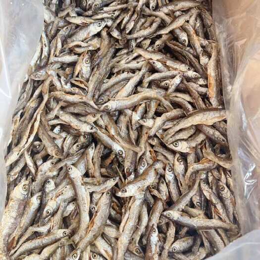 佛山鱼干 开肚油炸白条鱼干 地摊 电商 油 兰刀鱼干 干鱼