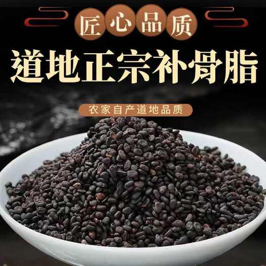 亳州补骨脂 中药材补骨脂 补骨脂无硫干净一斤包邮