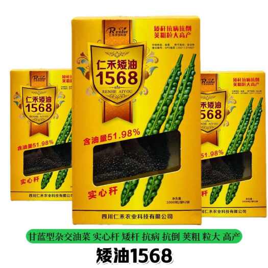 宿迁仁禾矮油1568油菜籽种子