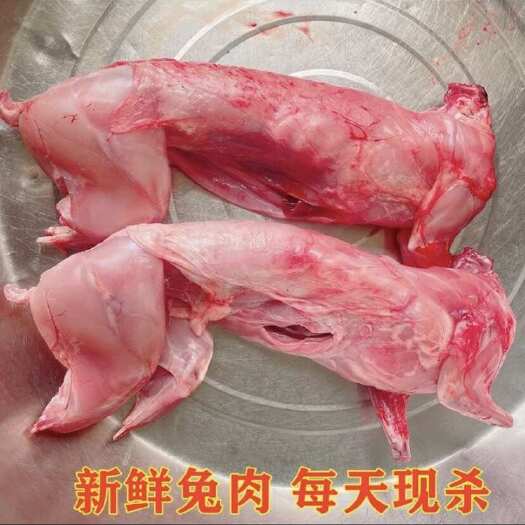 枣阳市肉兔