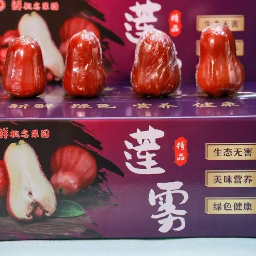 海口莲雾