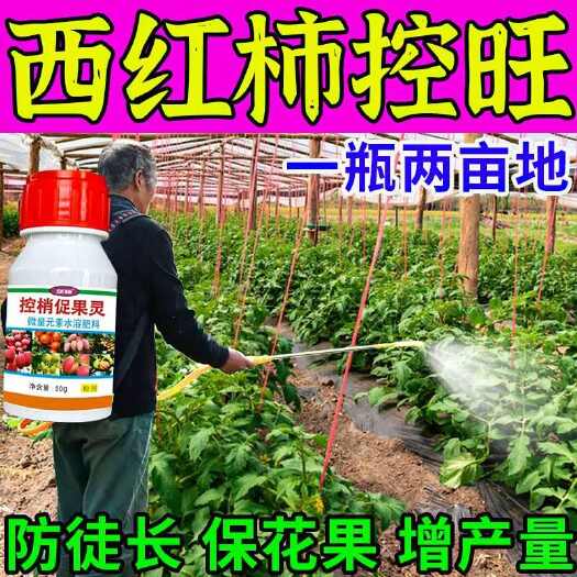 栾川县西红柿控旺专用药防徒长矮壮素猛增产膨果增甜番茄圣女果通用肥