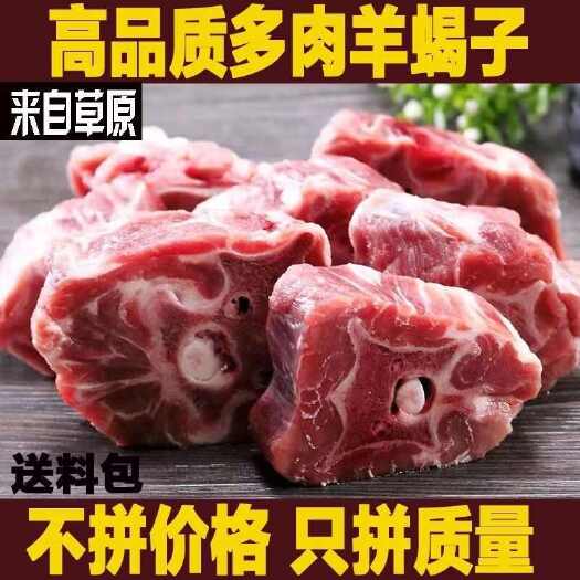 连云港新鲜多肉羊蝎子羊脊骨羊骨头带骨髓内蒙多肉羊蝎子火锅食材
