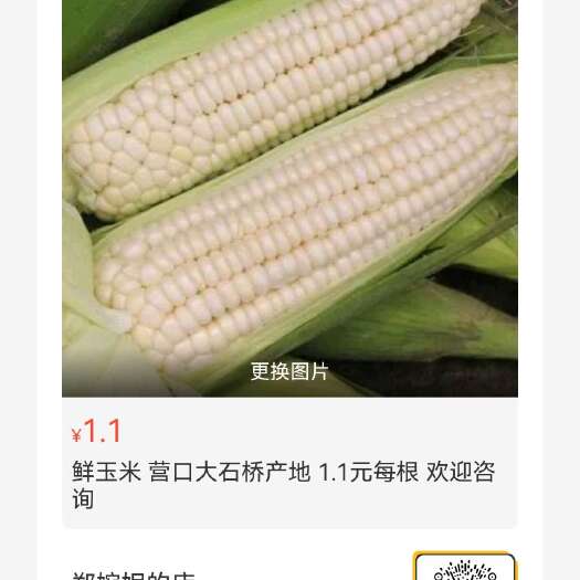 营口大石桥万糯玉米 刚刚上市 1元每根，欢迎咨询