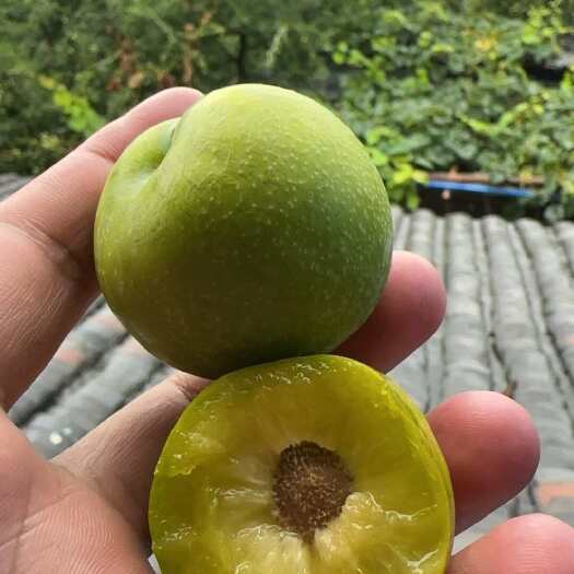  脱骨李