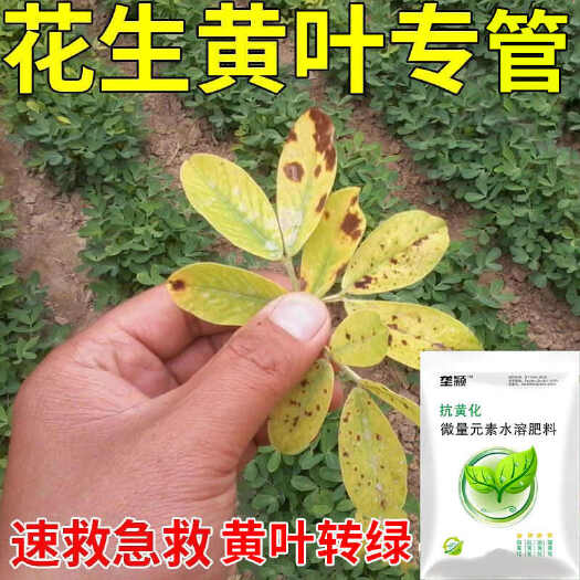 栾川县花生病全治专打花生黄叶黄化病干枯病黄叶克星花生一喷绿正品