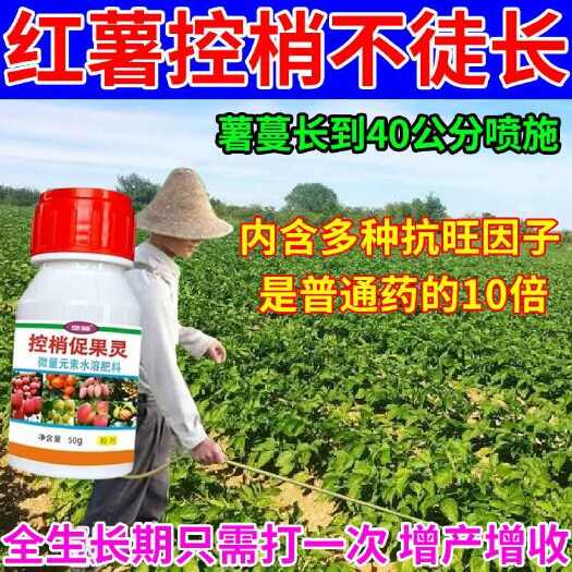 栾川县红薯专用控旺控制旺长压苗保果膨大增产不早衰红薯控旺专用叶面肥