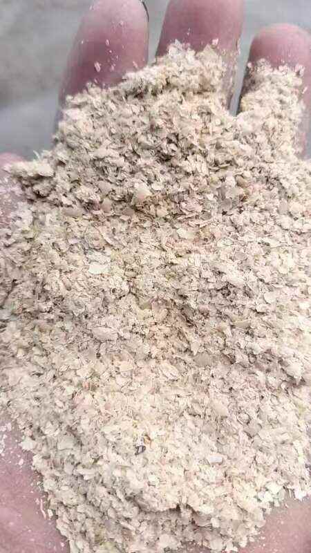 东莞市黄豆壳