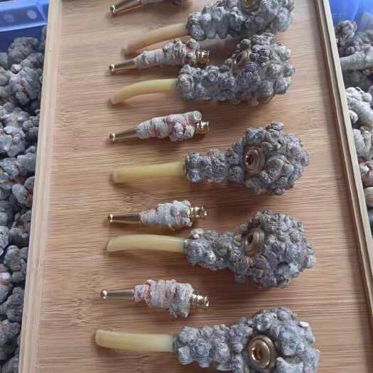 三七小烟斗