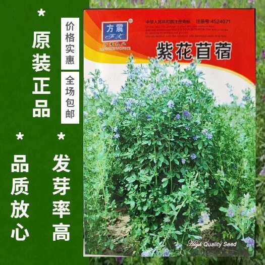 邵东市苜蓿草种籽多年生四季养殖喂鸡鸭鹅牛羊鱼草牧草紫花苜蓿草种子