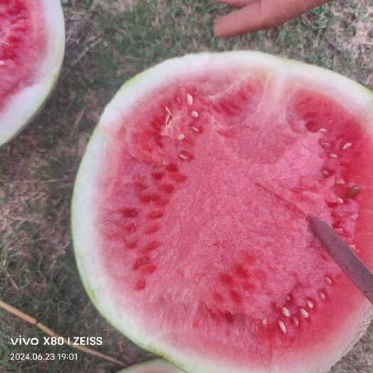宜章县湖南美都帅童大棚露天，有子无子西瓜。
