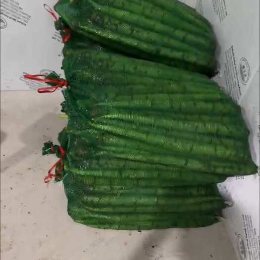 康定市三青杆子莴笋供应市场电商