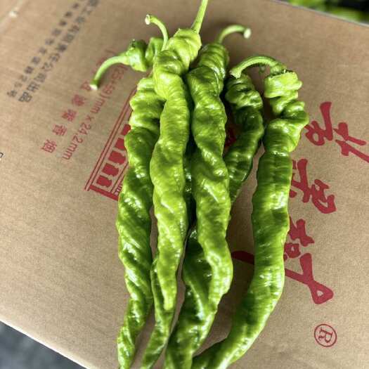  螺丝椒