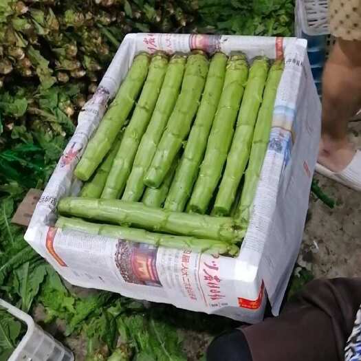 绵竹市三青莴笋装箱货，供应市场酒店一手货源