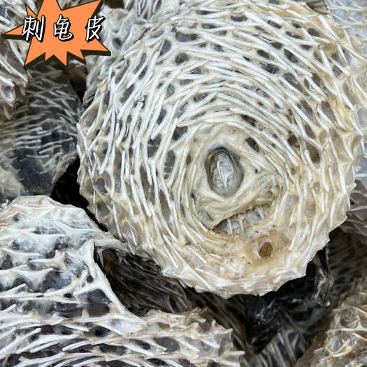 广州刺龟皮刺豚干新货带刺海刺龟皮滋补煲汤海胆皮海南特产批发