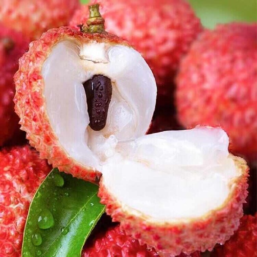【百年老树蜜甜】桂味荔枝现摘现发