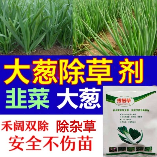 郑州除草剂大葱除草葱韭菜专用苗后除草尖叶阔叶草氯氟吡氧乙酸异辛酯