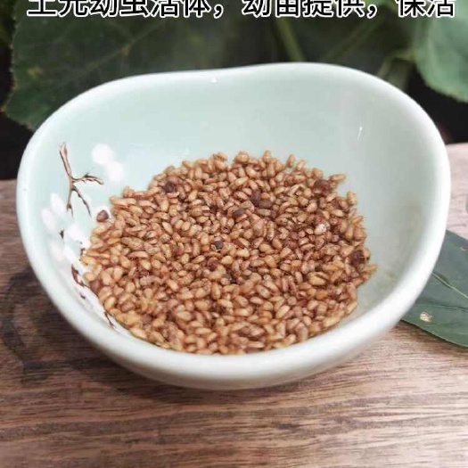 鹿邑县中华土元