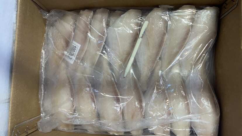 重庆市100-200板冻耗儿鱼  45条左右